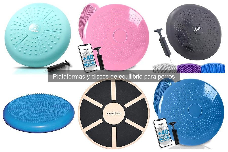 Comparativa: Plataformas vs Discos de Equilibrio para Perros
