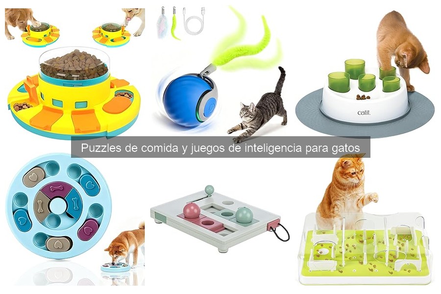 Comparativa: Puzzles de Comida vs. Juguetes Tradicionales para Gatos