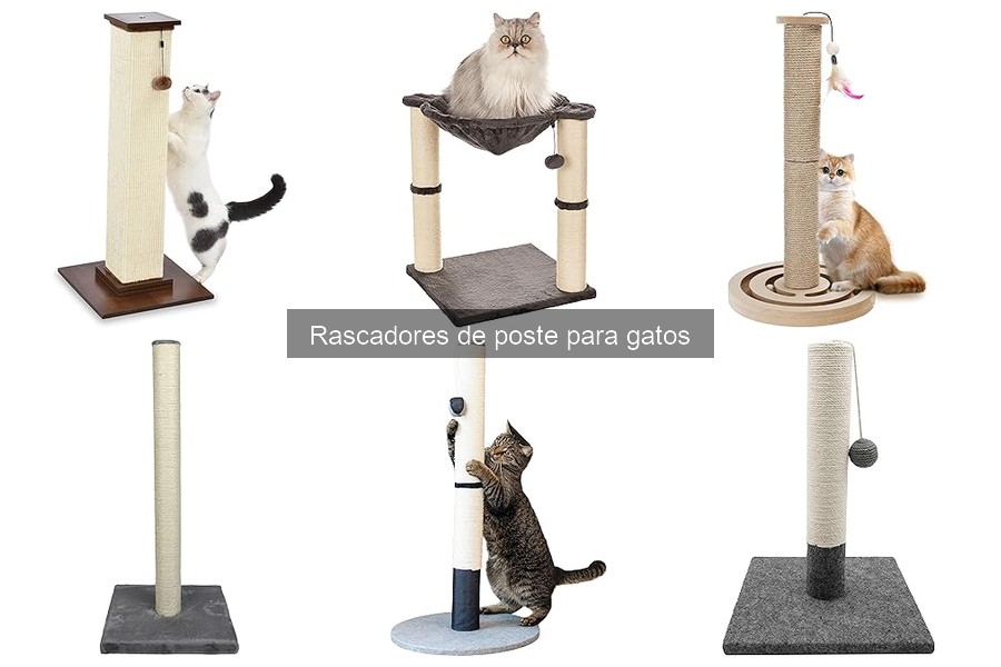 Comparativa: Rascadores de Poste vs. Rascadores de Pared