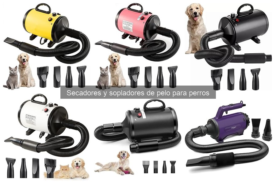 Comparativa: Secadores de pelo para perros, aire caliente vs. frío