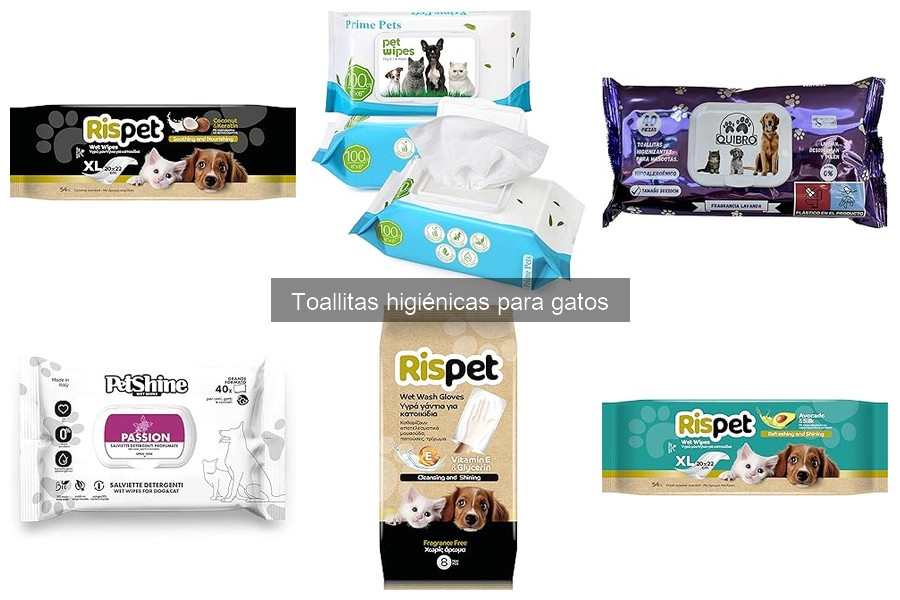 Comparativa: Toallitas Higiénicas vs Baños para Gatos