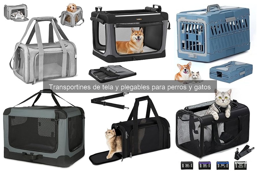 Comparativa: Transportines de tela vs. rígidos para mascotas
