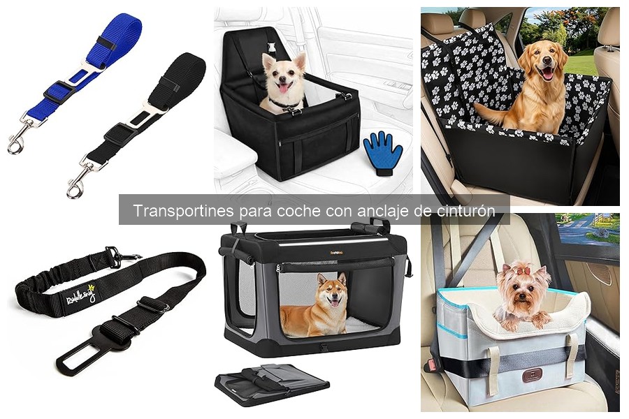 Comparativa: Transportines ligeros vs. robustos para coche