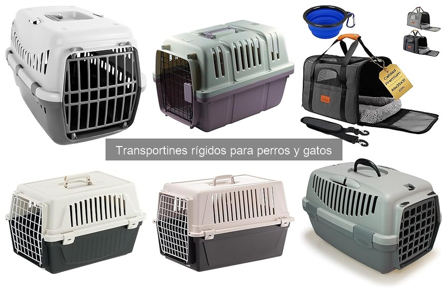 Comparativa: Transportines Rígidos vs. Blandos para Mascotas