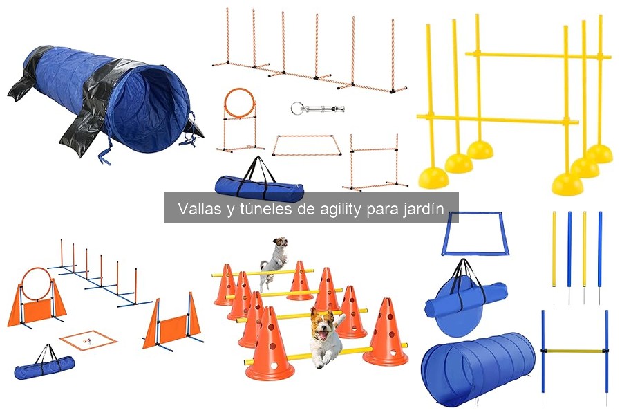 Comparativa: Vallas vs Túneles de Agility para Perros