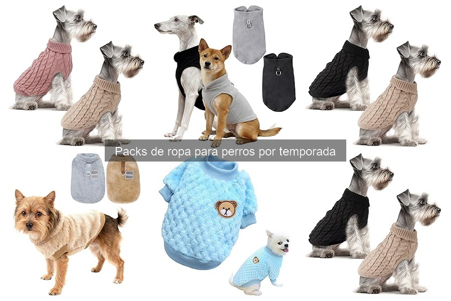 Complementos para ropa de perro según la temporada