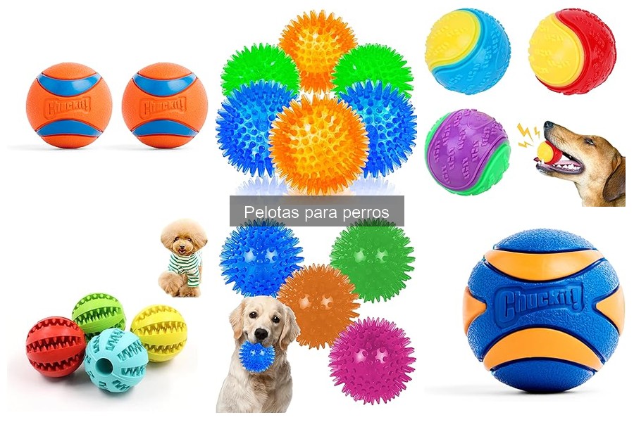 Compra pelotas para perros a buen precio y ofertas