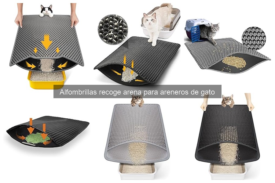 Configuración perfecta de un arenero con alfombrilla para gatos