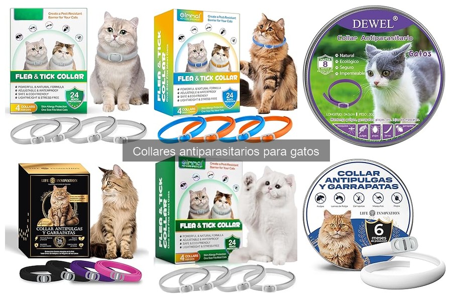 Consecuencias de No Usar Collares Antiparasitarios en Gatos
