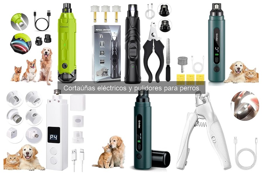 Consejos para Acostumbrar a Tu Perro al Cortaúñas Eléctrico