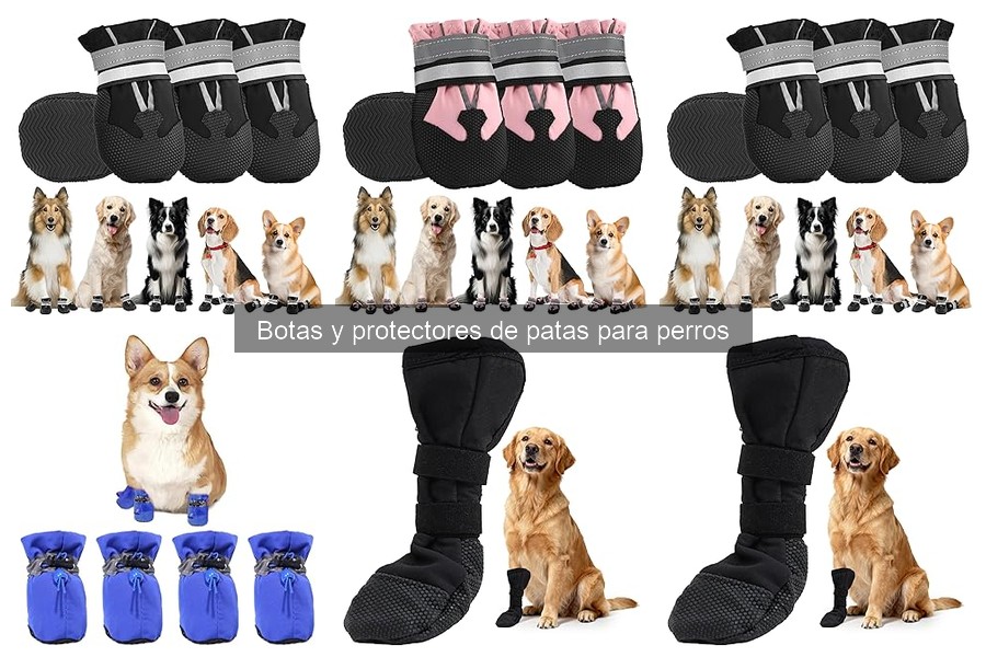 Consejos para el Mantenimiento de Botas para Perros