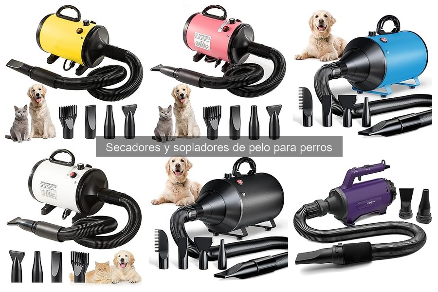 Consejos para el uso efectivo de secadores de pelo para mascotas