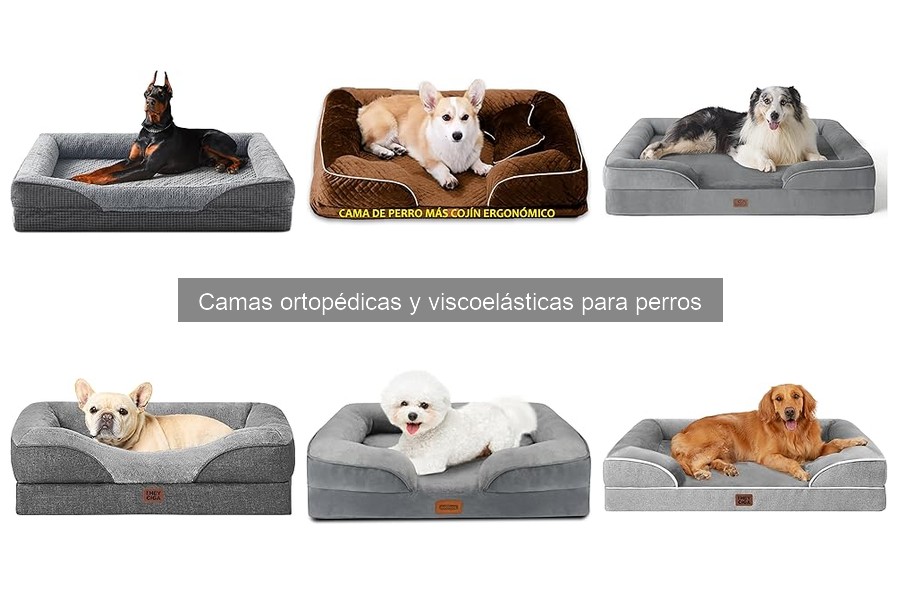 Consejos para elegir la cama ortopédica perfecta para tu perro