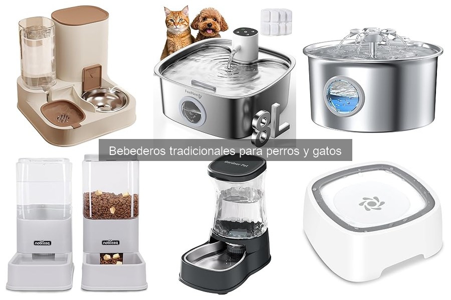 Consejos para evitar derrames de agua en bebederos de mascotas