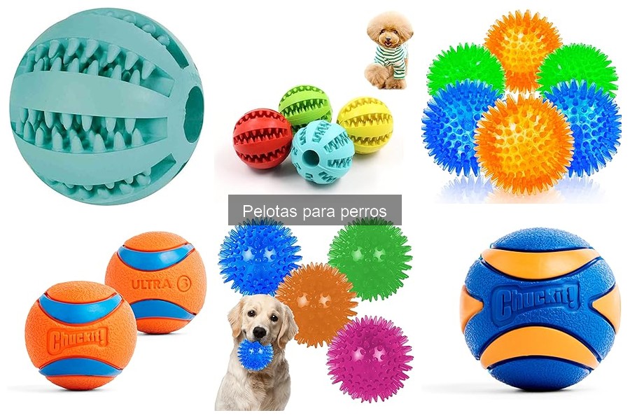 Consejos para Limpiar y Mantener Pelotas para Perros