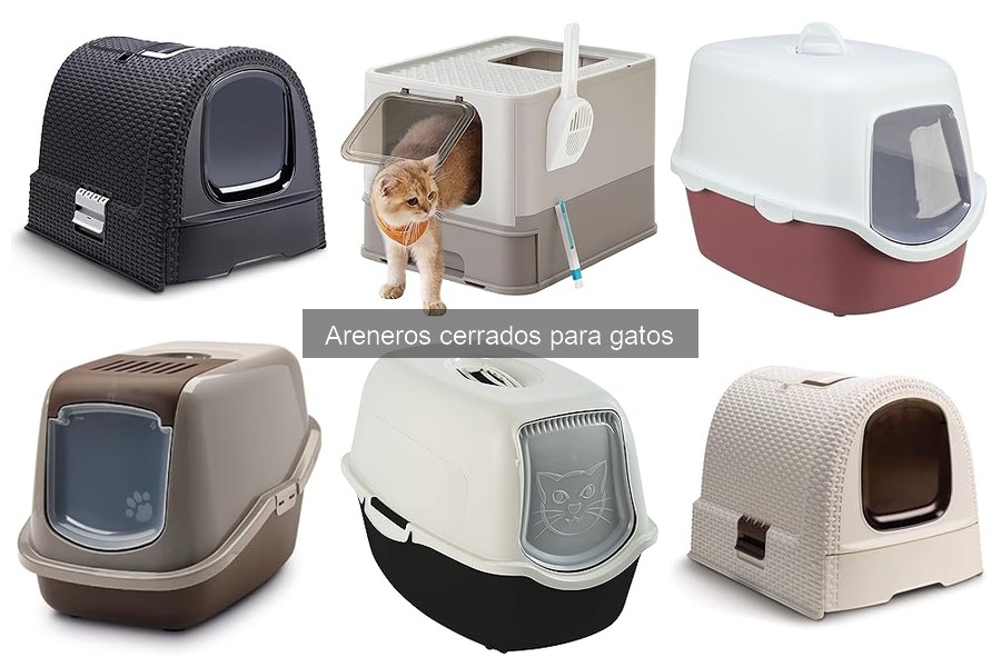 Consejos para Mantener Limpio un Arenero Cerrado para Gatos