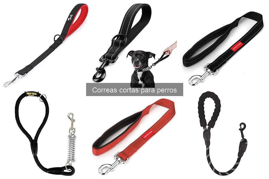 Consejos para usar correas cortas en paseos urbanos