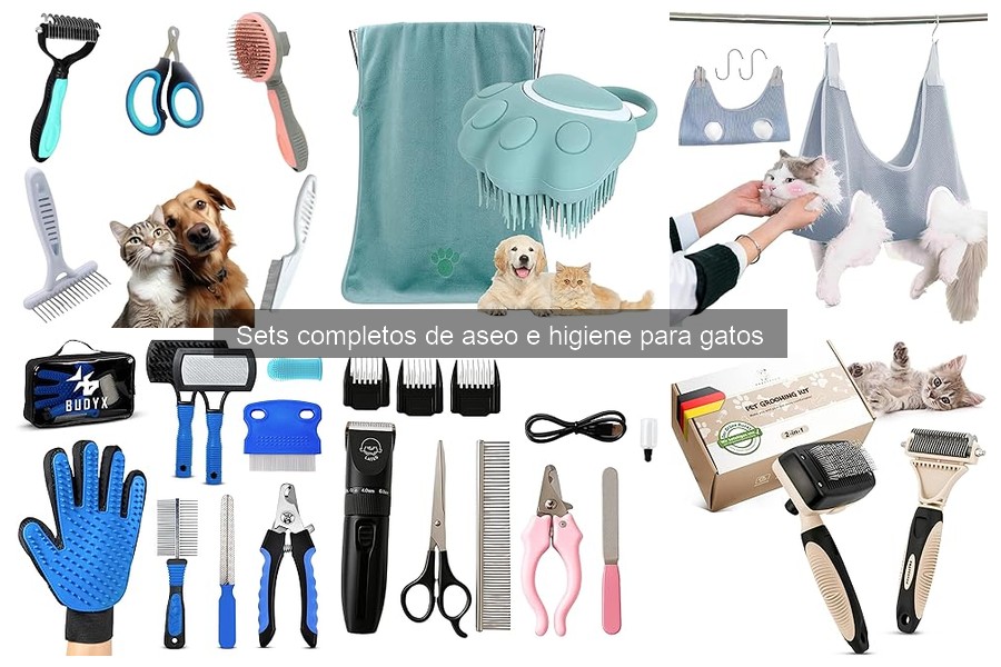 Consejos para Usar Sets de Aseo e Higiene para Gatos