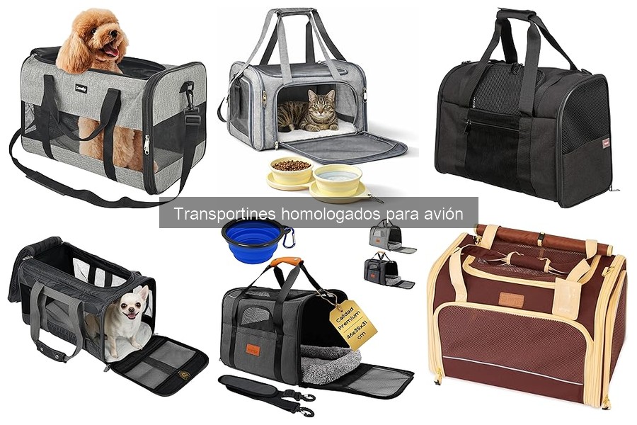 Consejos para viajar con mascotas en transportines homologados
