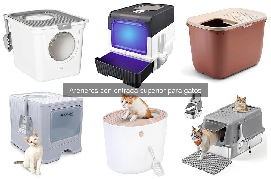 Consejos prácticos para el mantenimiento de areneros superiores