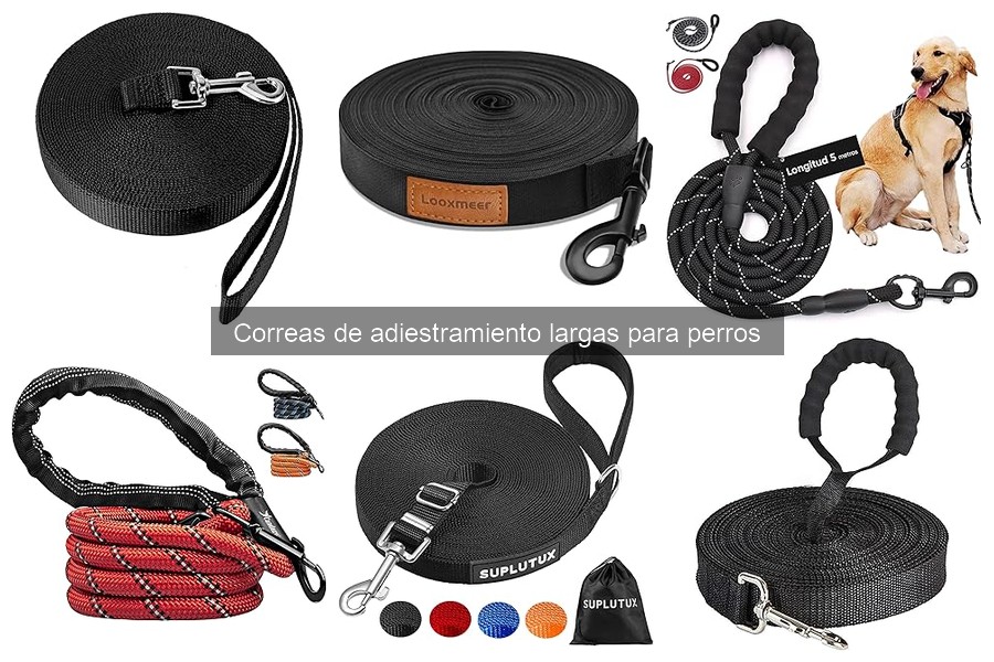 Correcciones Comunes al Usar Correas de Adiestramiento Largas