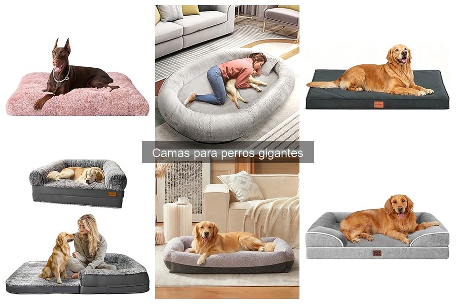 Crea la cama personalizada perfecta para perros gigantes