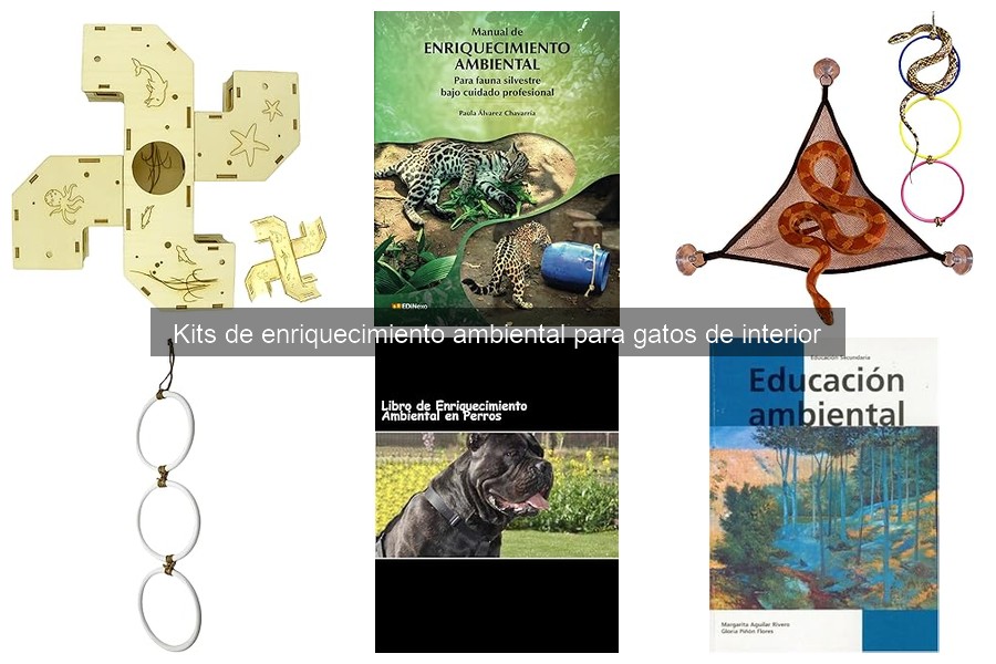 Crea un Kit de Enriquecimiento Ambiental Casero para Gatos