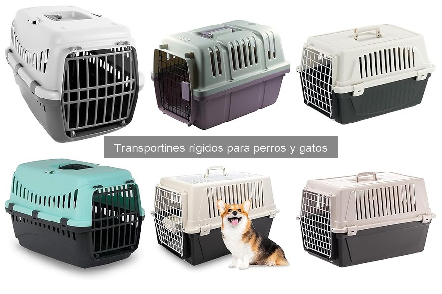 ¿Cuál es el mejor tamaño de transportín rígido para tu mascota?