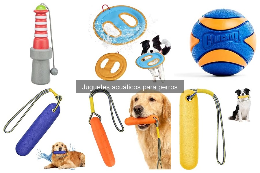 ¿Cuál es el precio de los juguetes acuáticos para perros?