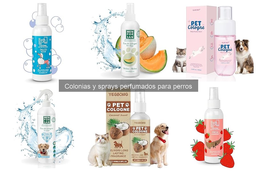 Cuándo evitar el uso de colonias y sprays en perros