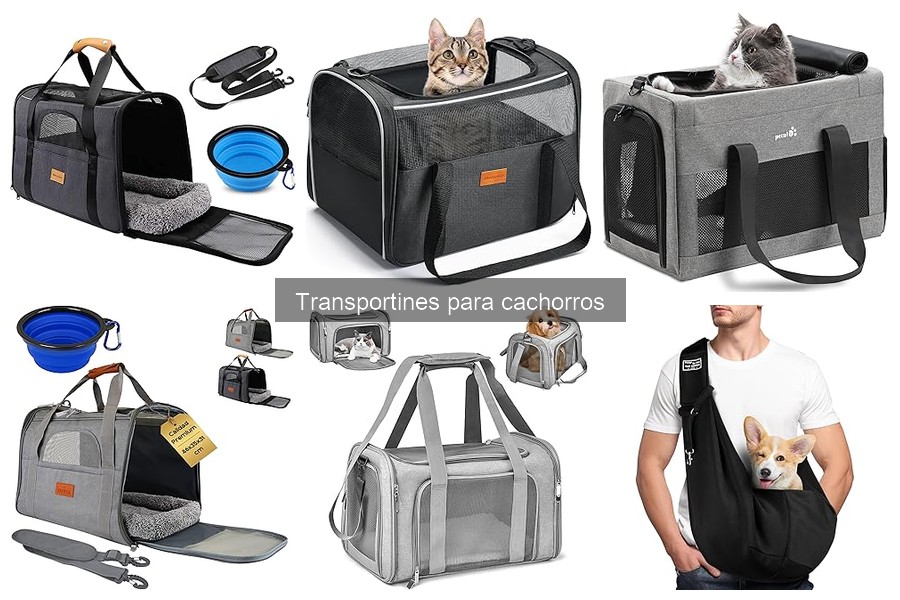 ¿Cuándo introducir a un cachorro al transportín? Guía Práctica