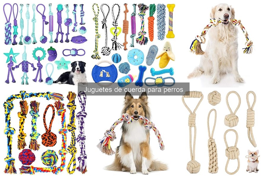 ¿Cuándo reemplazar un juguete de cuerda para perros?