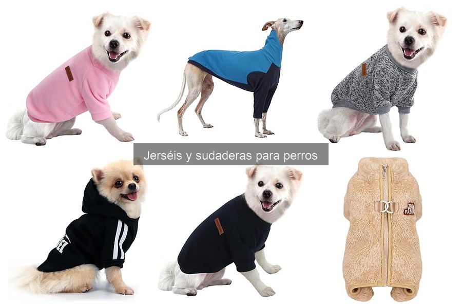 ¿Cuándo vestir a mi perro con sudaderas? Guía práctica