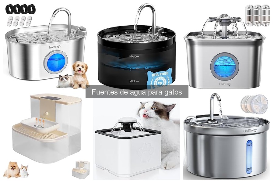 ¿Cuánto cuesta una fuente de agua para gatos? Precios y opciones