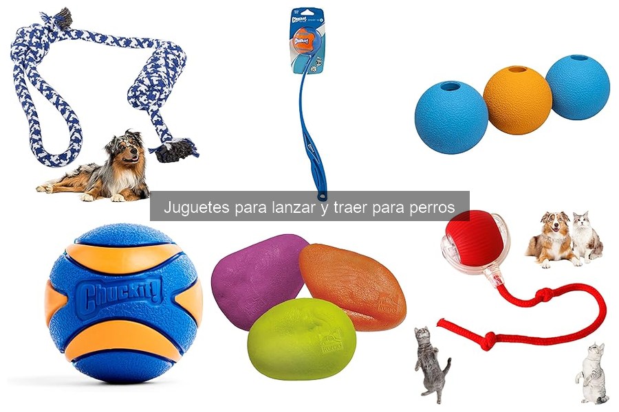 ¿Cuánto gastar en un juguete para lanzar y traer para perros?