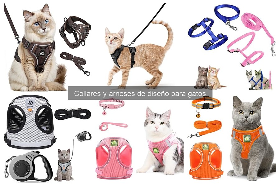 Cuidado y Mantenimiento de Collares y Arneses para Gatos