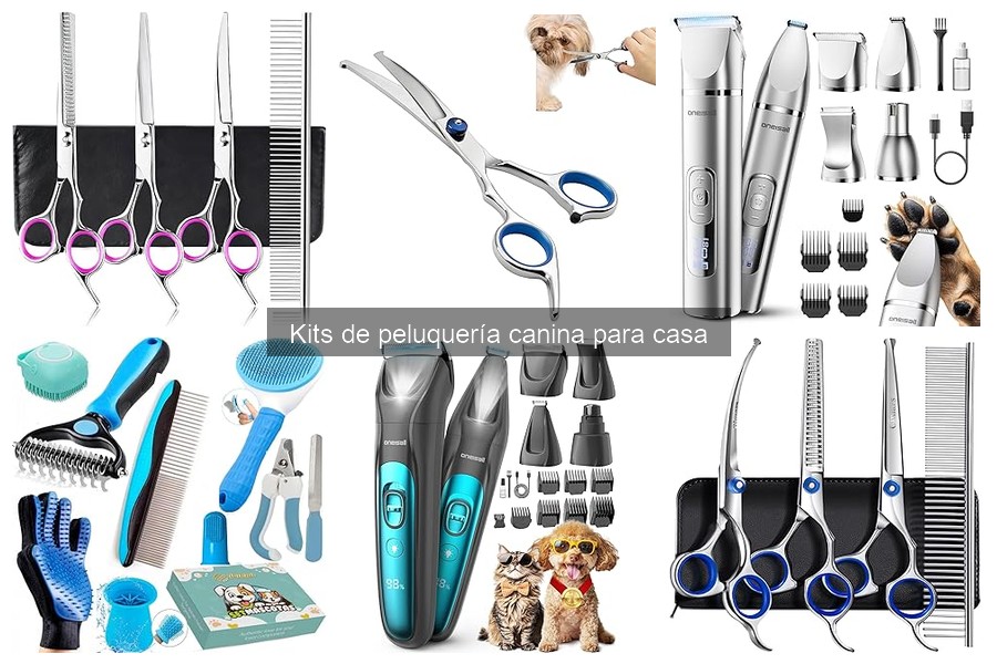 Cuidados esenciales después de la peluquería canina