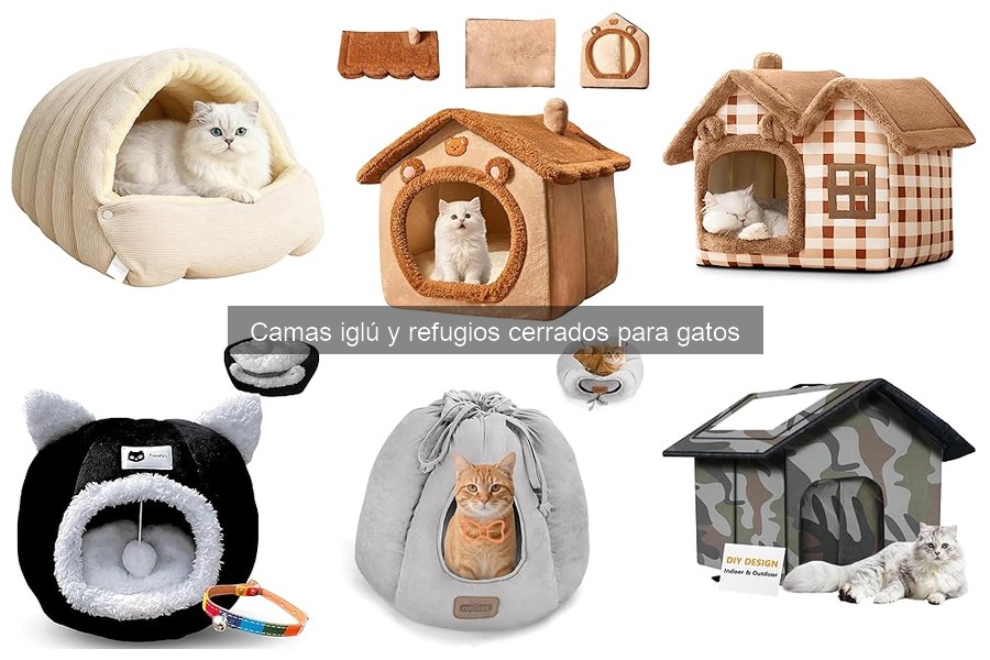 Cuidados Específicos para Camas Iglú de Gatos