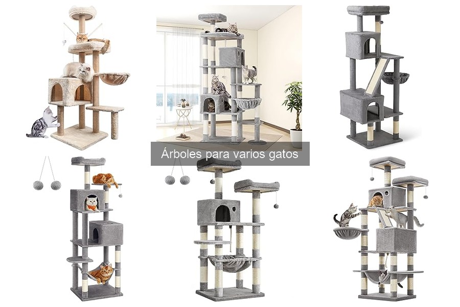 Cuidados y Mantenimiento de Árboles para Gatos