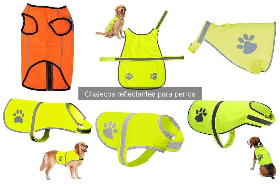 Cuidados y Mantenimiento de Chalecos Reflectantes para Perros