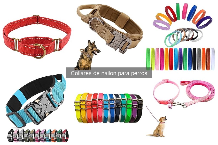 Cuidados y Mantenimiento de Collares de Nailon para Perros