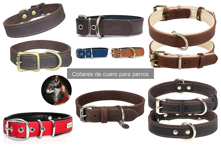 Descubre los Collares de Cuero para Perros: Características y Beneficios