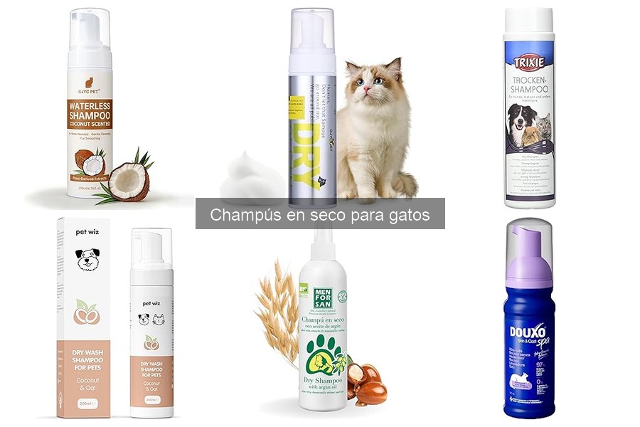 Descubre qué es un champú en seco para gatos
