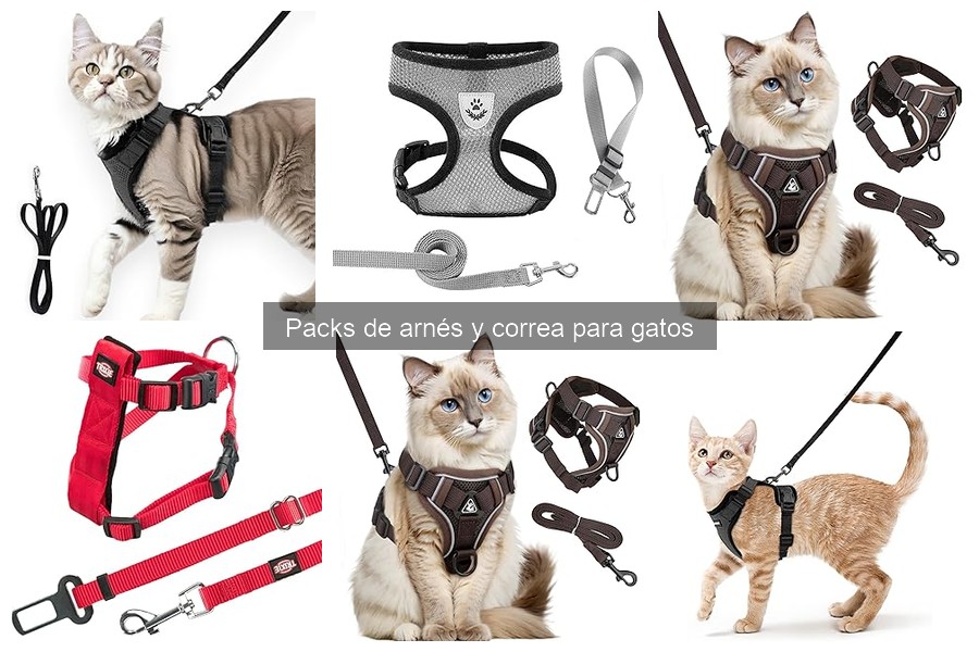 Descubre qué es un pack de arnés y correa para gatos