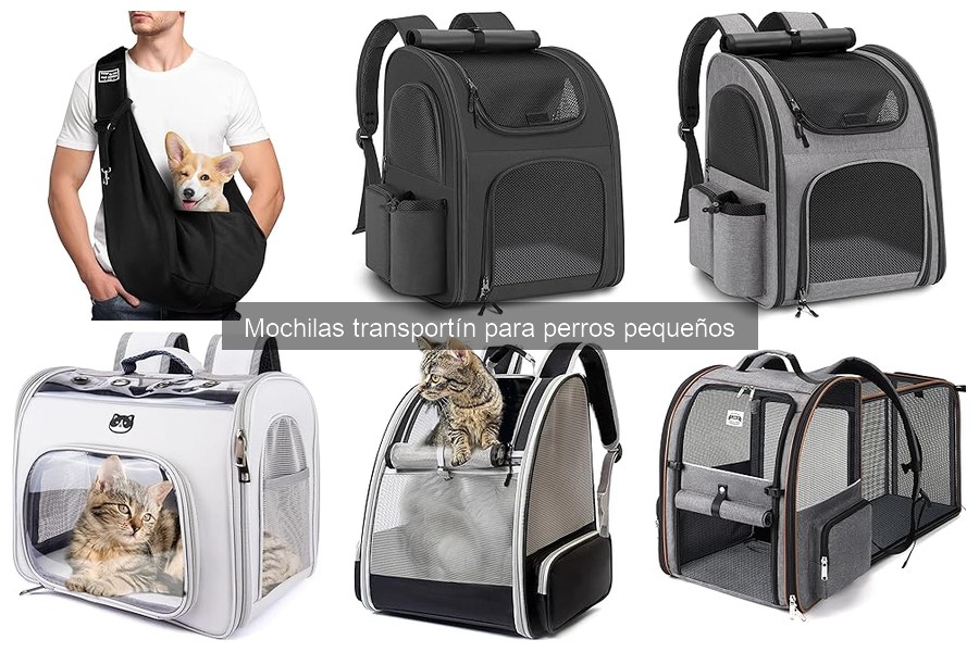 Descubre qué es una mochila transportín para perros pequeños