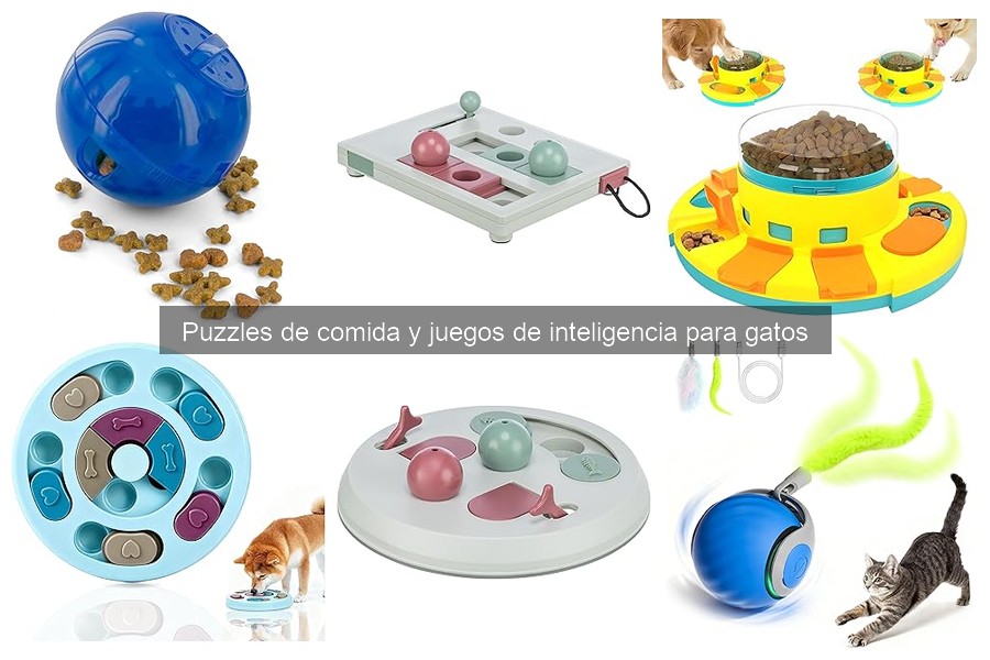 Descubre qué son los puzzles de comida para gatos