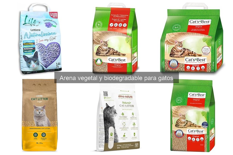 Desventajas de la arena vegetal para gatos: ¿vale la pena?