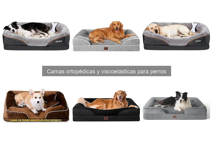 Diferencias entre camas ortopédicas y tradicionales para perros