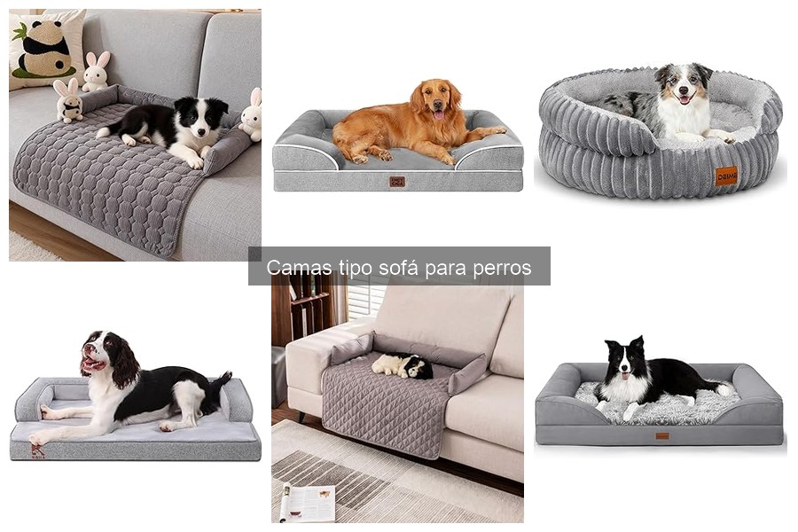 Diferencias entre camas tipo sofá y ortopédicas para perros