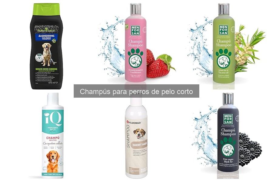 Diferencias entre champús para perros de pelo corto y largo